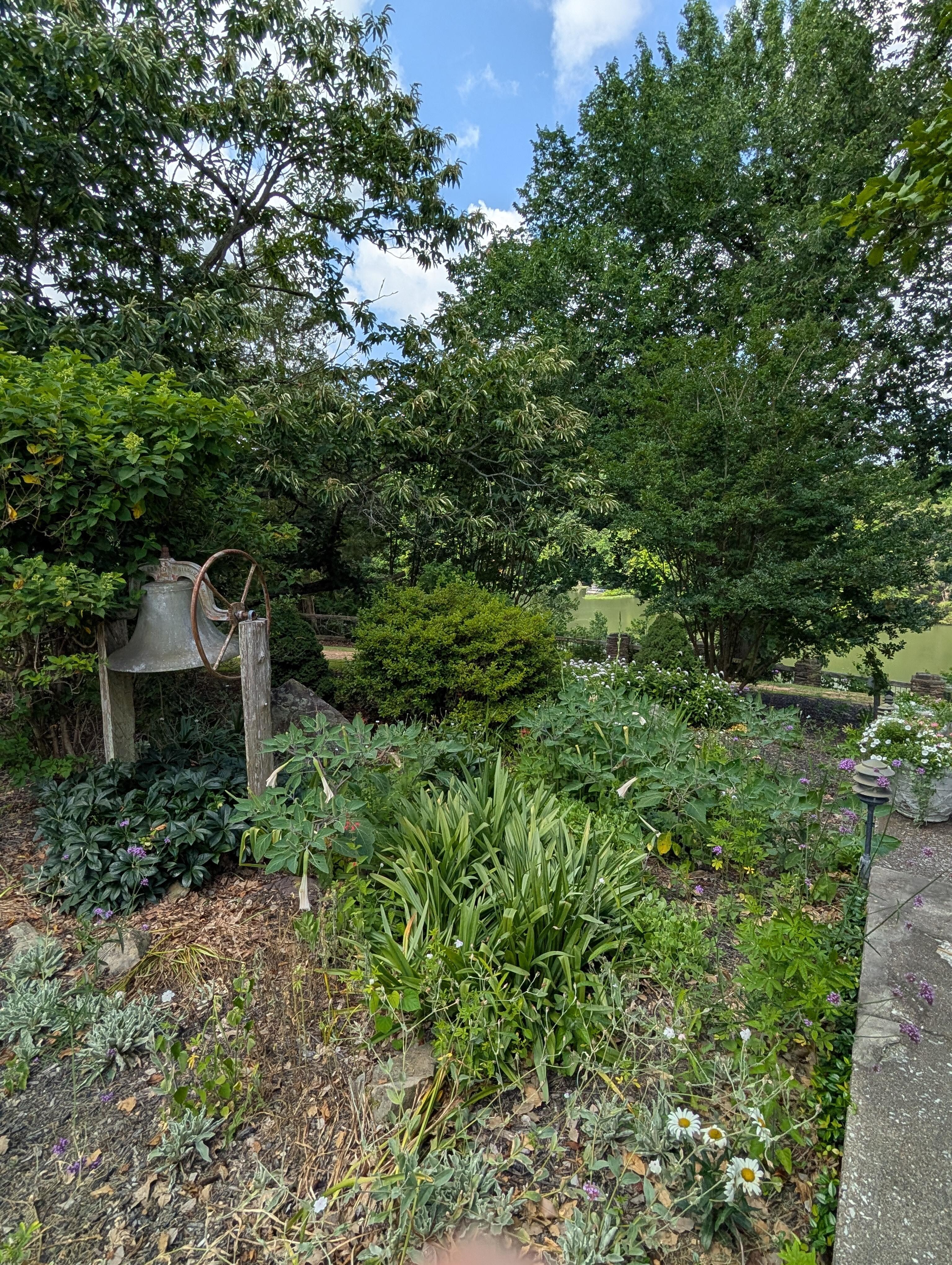Garden behind the lodge.