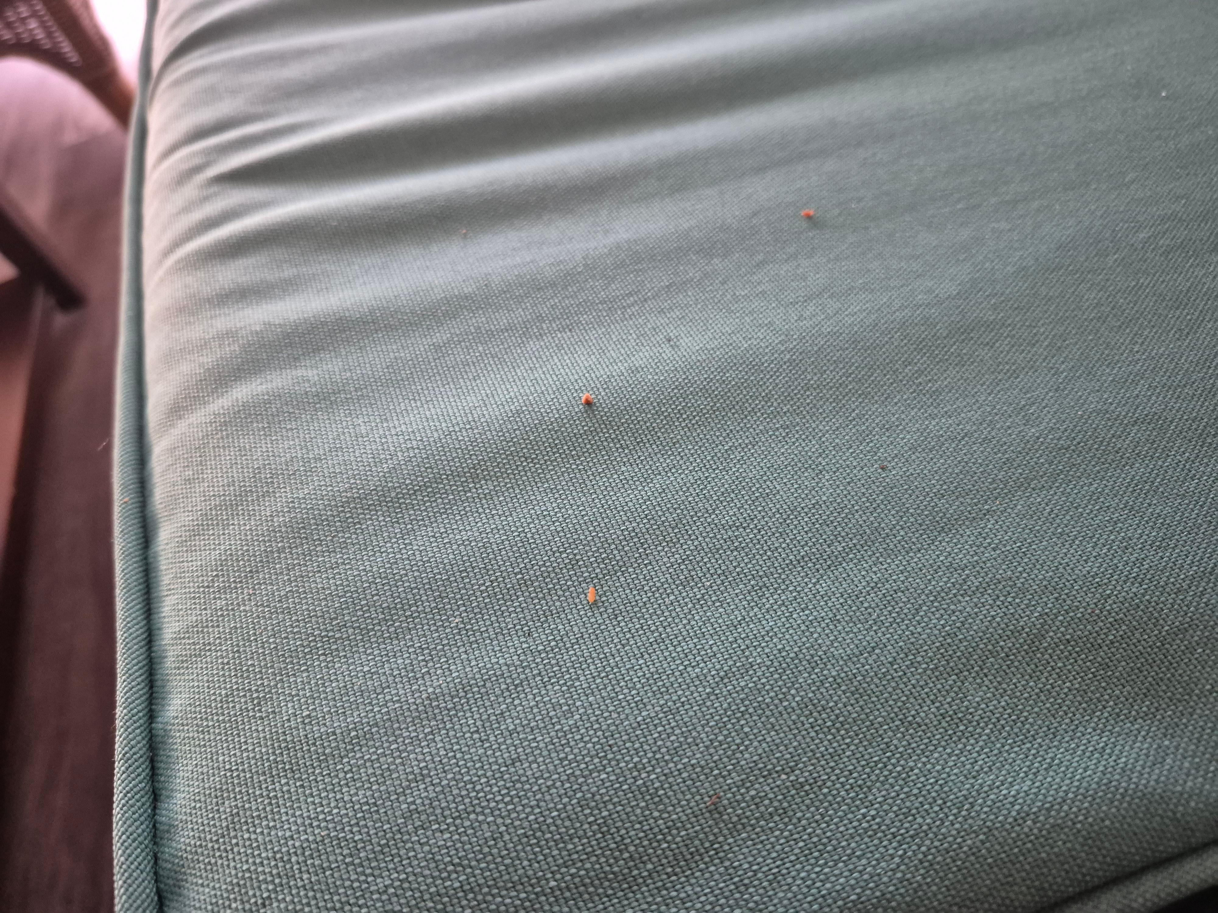 Crumbs on the furniture when we got there