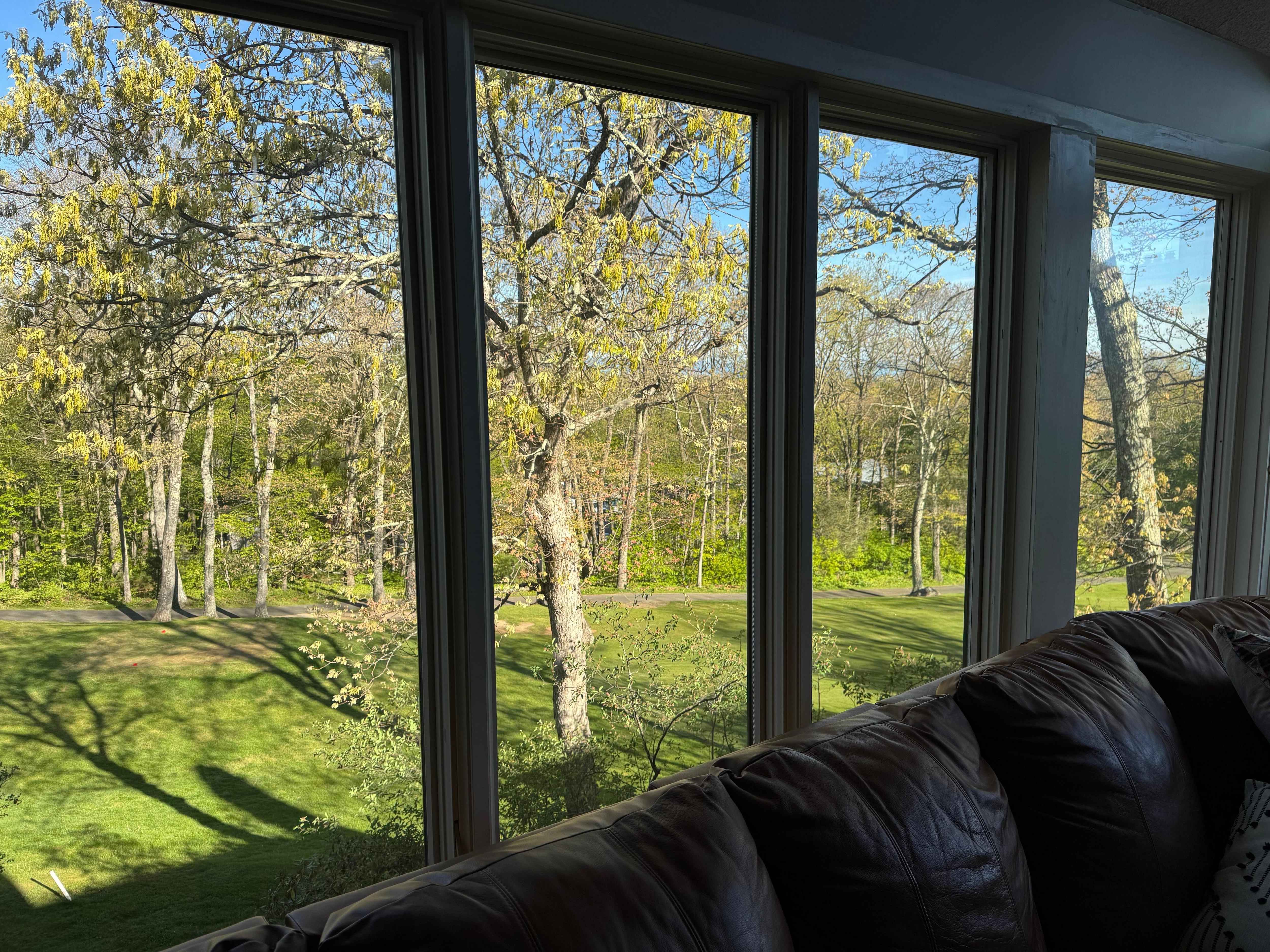 The views were amazing from the couch. 