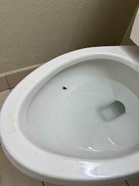 Pee in the rim of the bowl and roach.