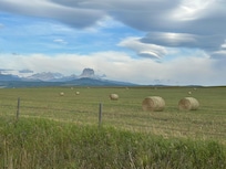 View of Cheif Mtn in area near motel