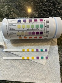 Chlorine levels off the charts after “remedy”