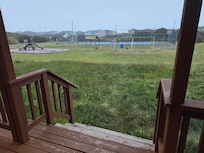Back yard