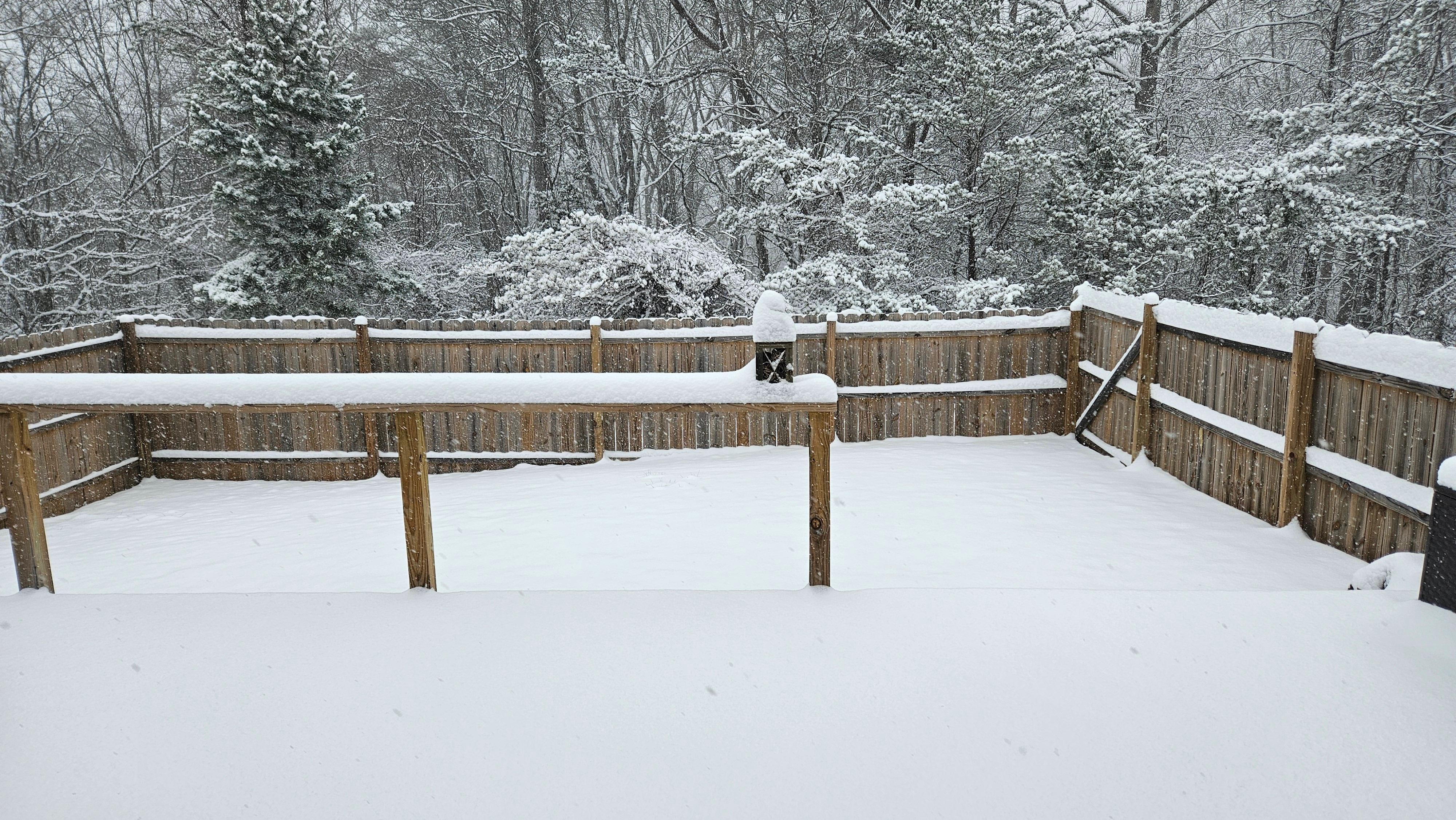 Lots of snow. View of backyard.
