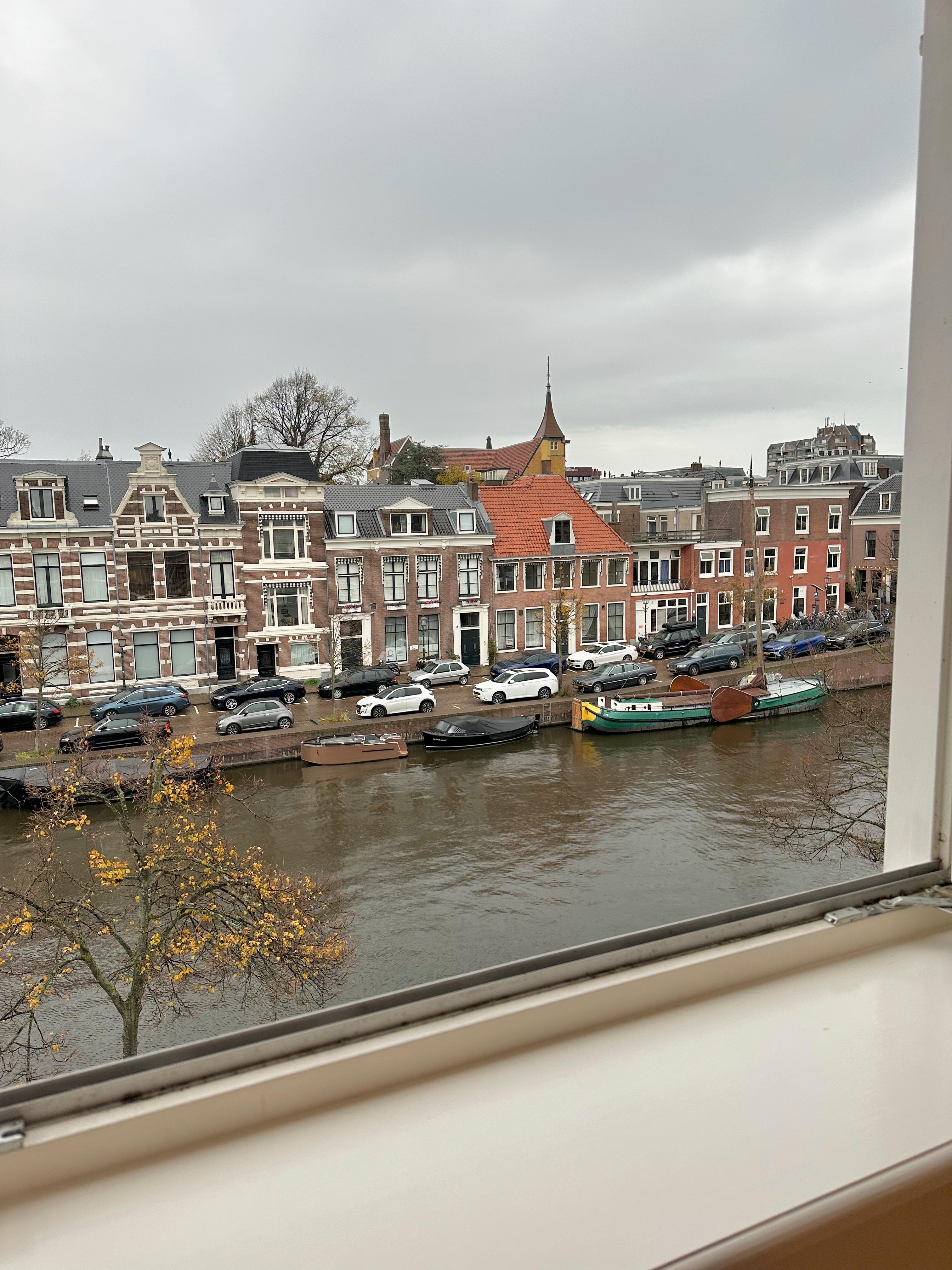 View from Bedroom Window