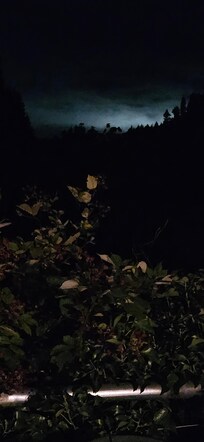 Night from backyard