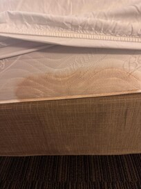 This was the mattress underneath the coverings.