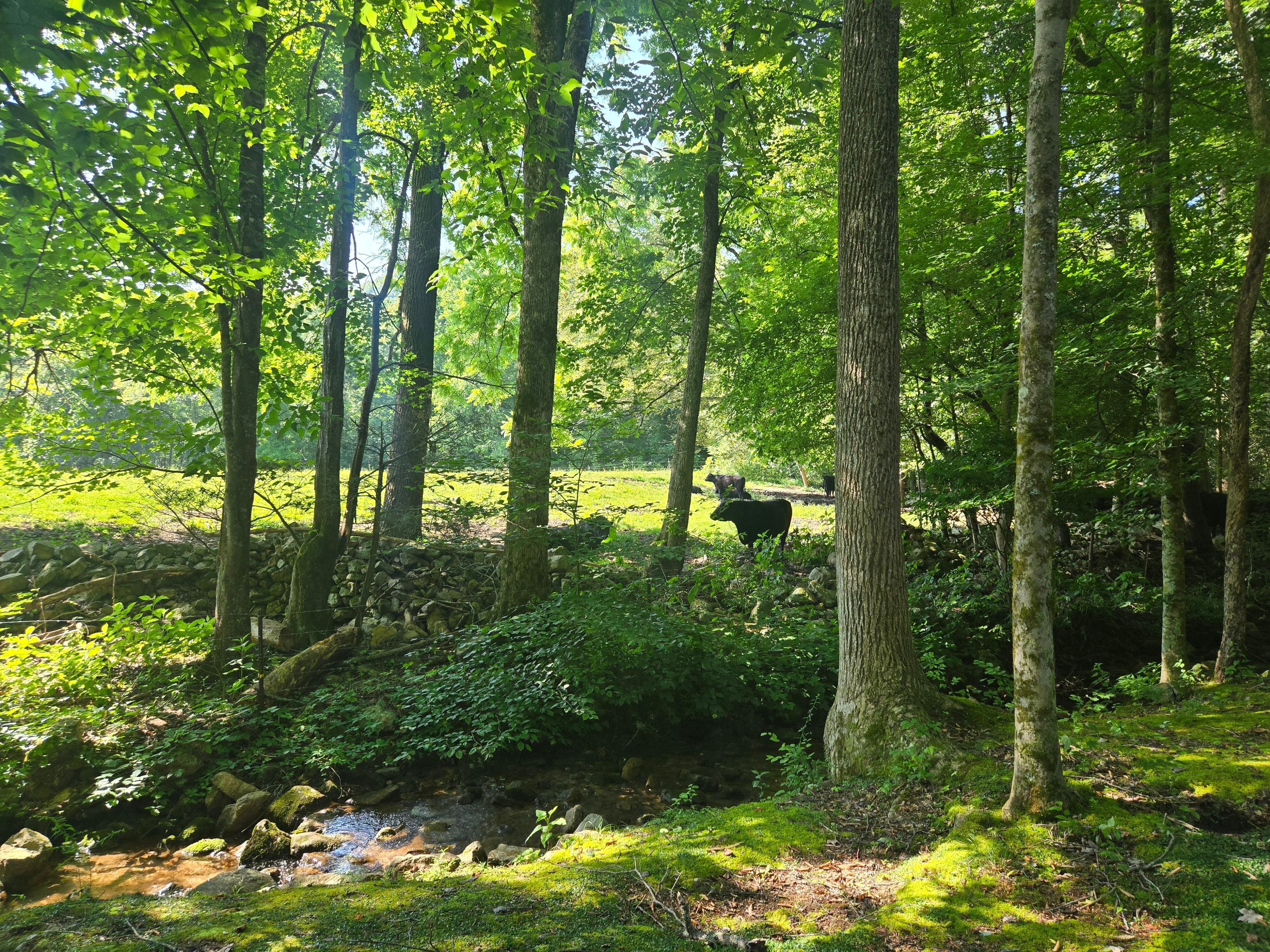 Hiking!
