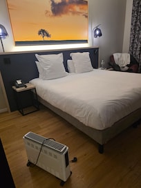 This is a proof that the room had no heating, so they gave us the one in the picture, and it was freezing