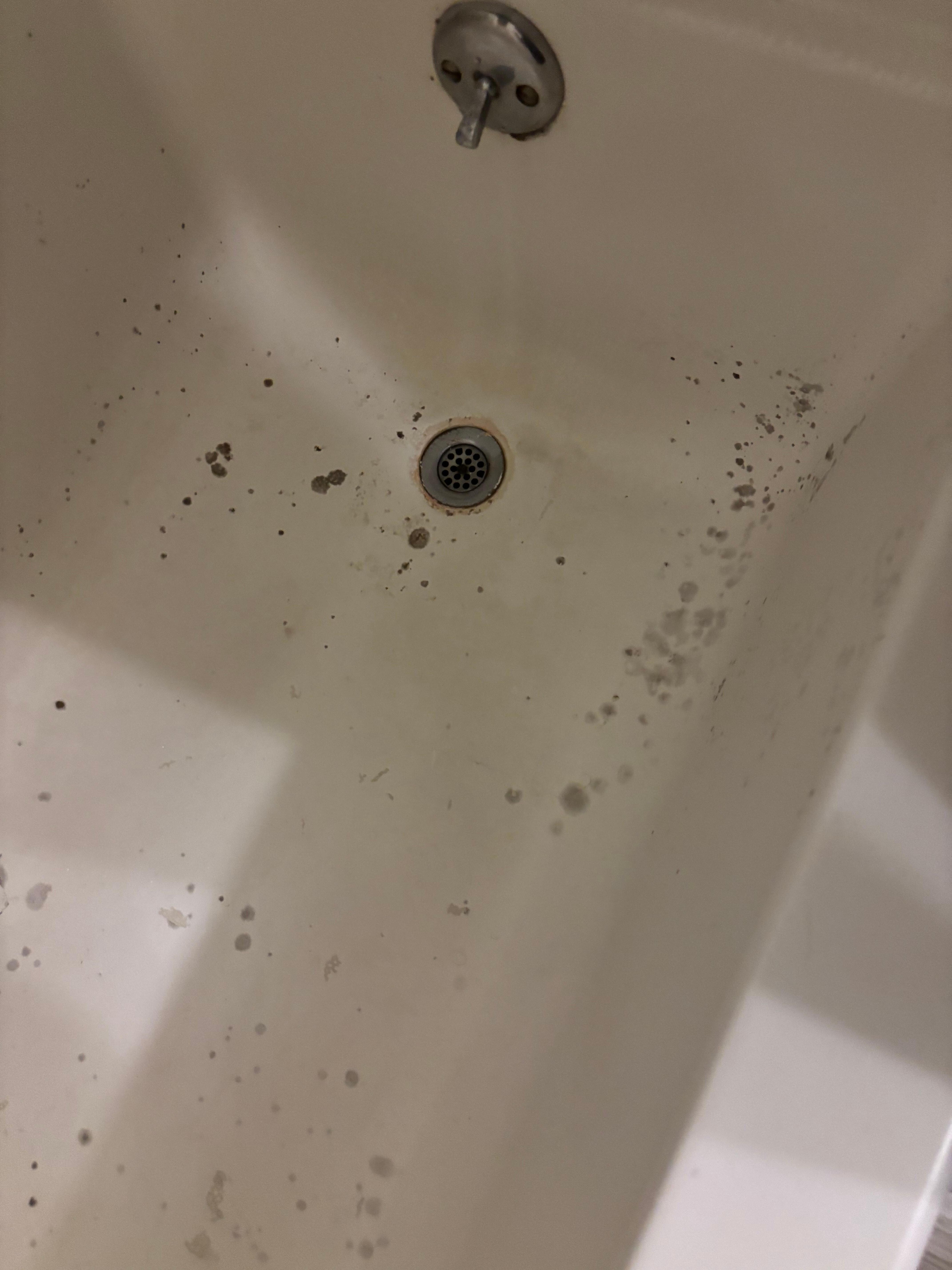 Stains/mold in the tub in room
1