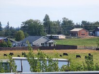 Across black bear diner