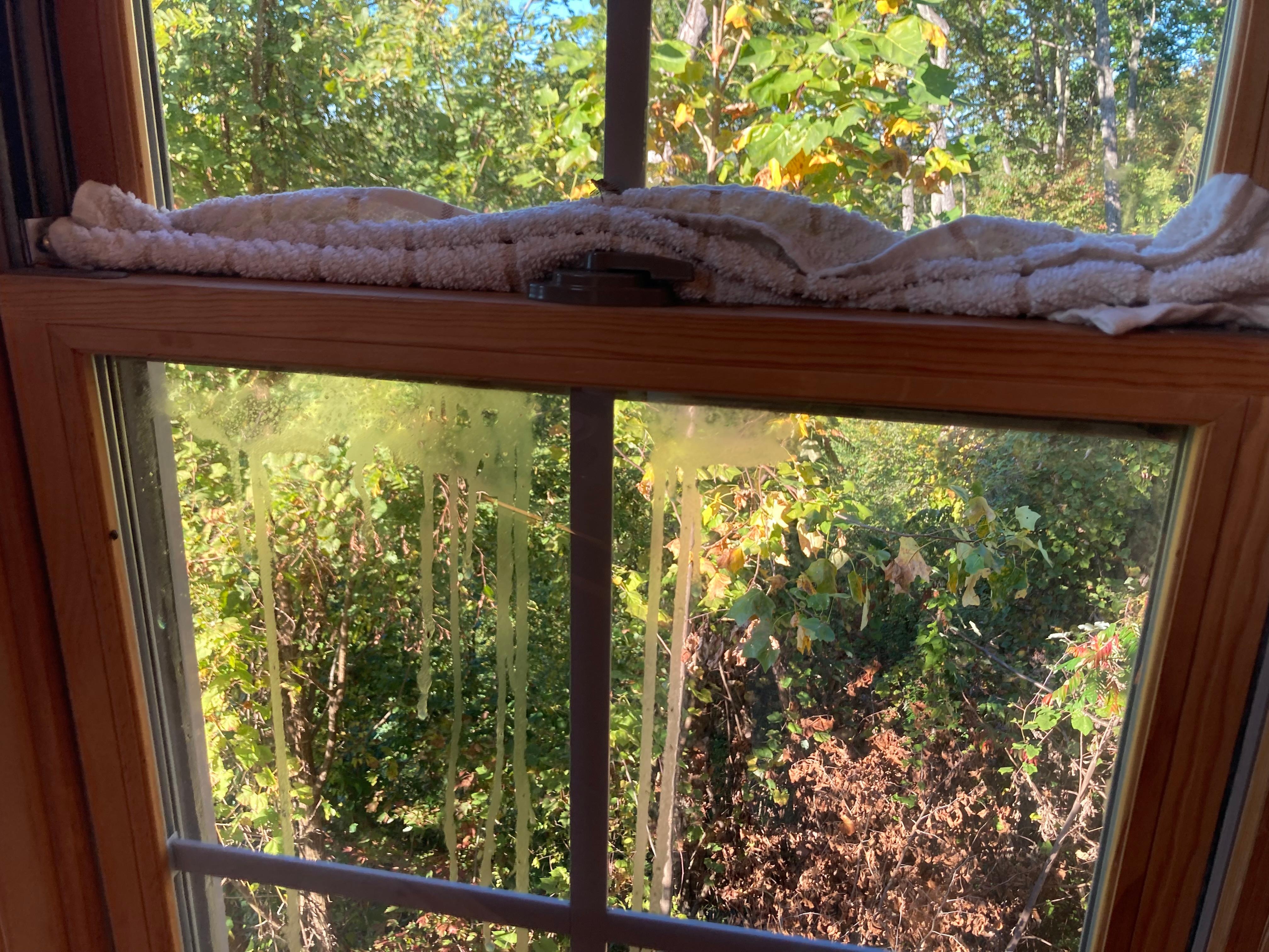 Only left with 1 dishtowel b/c the other was blocking bugs