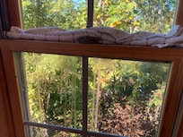 Only left with 1 dishtowel b/c the other was blocking bugs