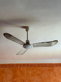 Filthy ceiling fan