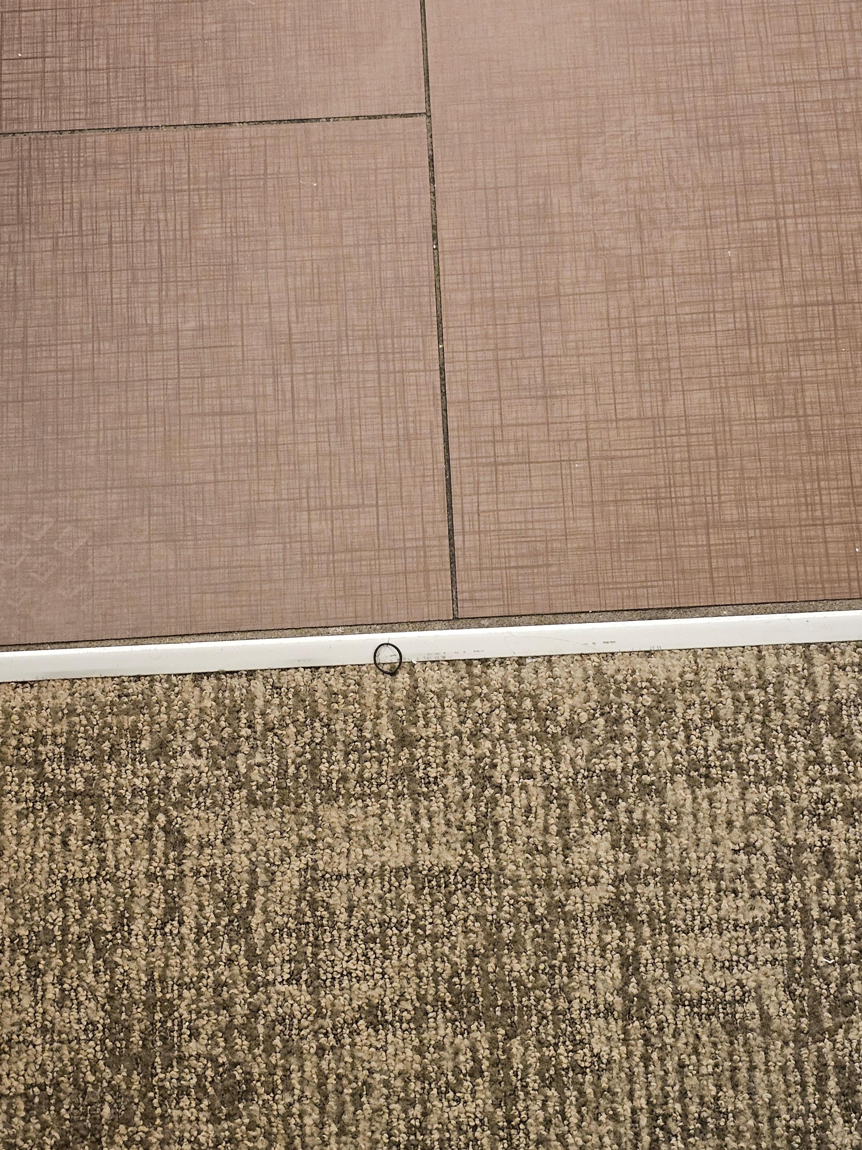 One of the 2 the hairties on the floor