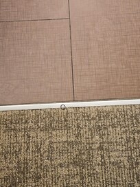 One of the 2 the hairties on the floor