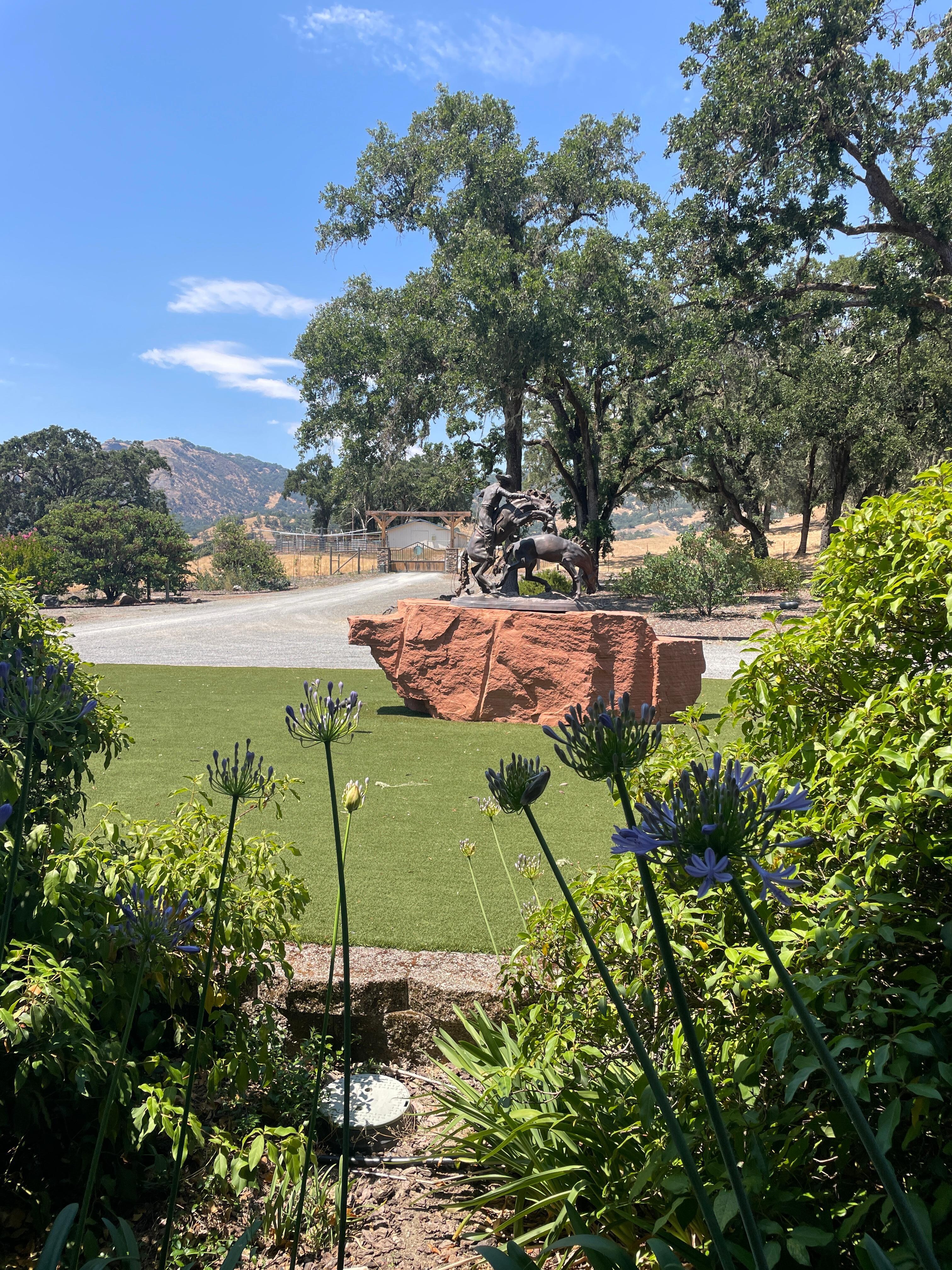 View from front door 