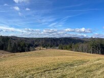 Beautiful view from the house.