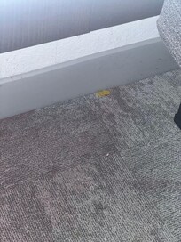 Dirty carpet
