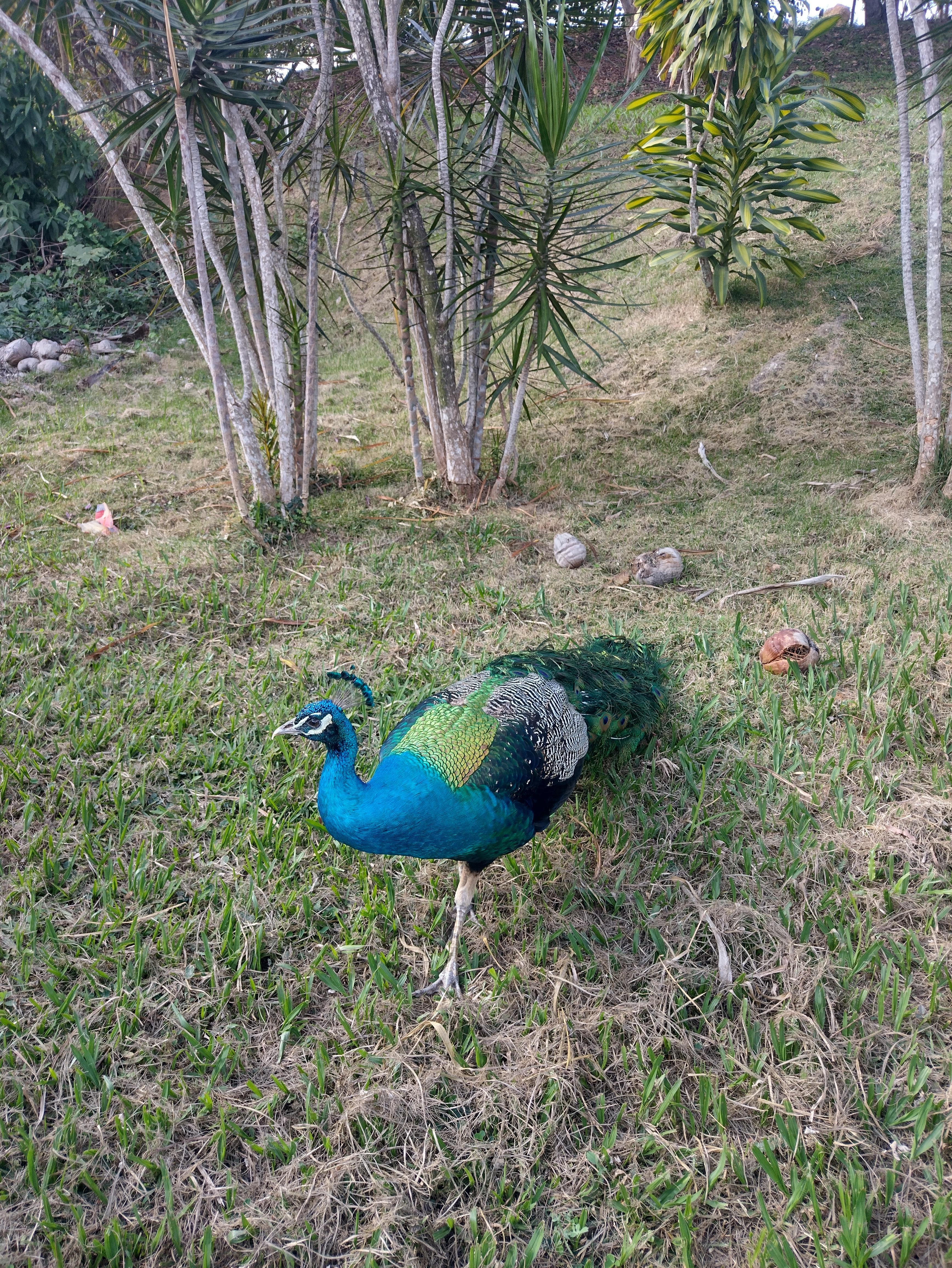 Local arborizado, com jardins bem cuidados, colaboradores atenciosos e simpáticos. Boa localização.