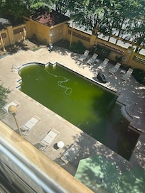 The pool