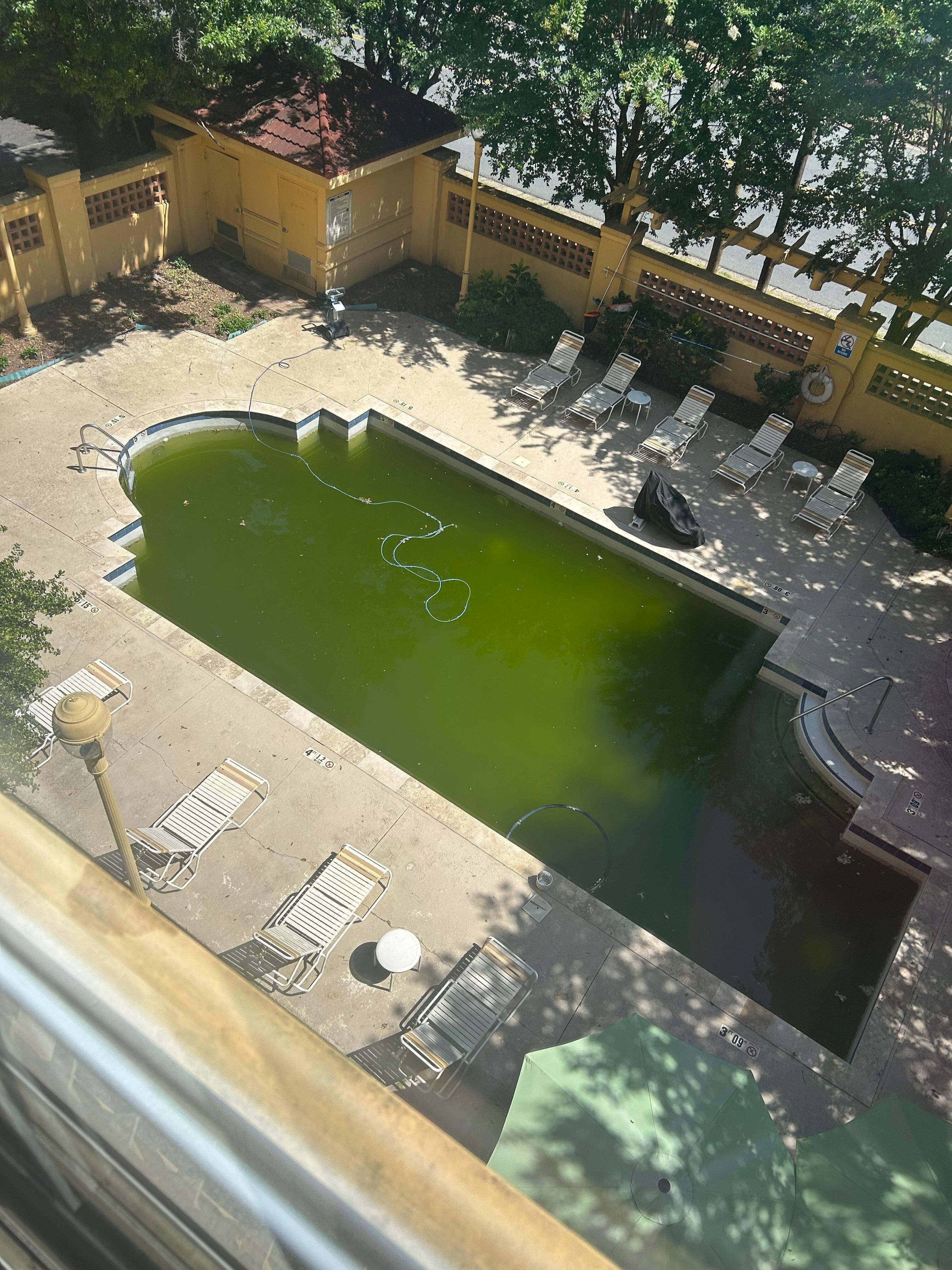 The pool 