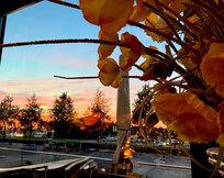 Sunset from the bar restaurant