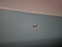 Holes in wall