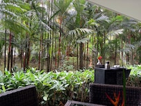 Breakfast on the patio