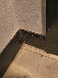 Cobwebs in corner