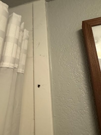 Hair on wall
