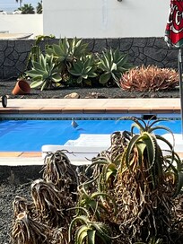 Great pool