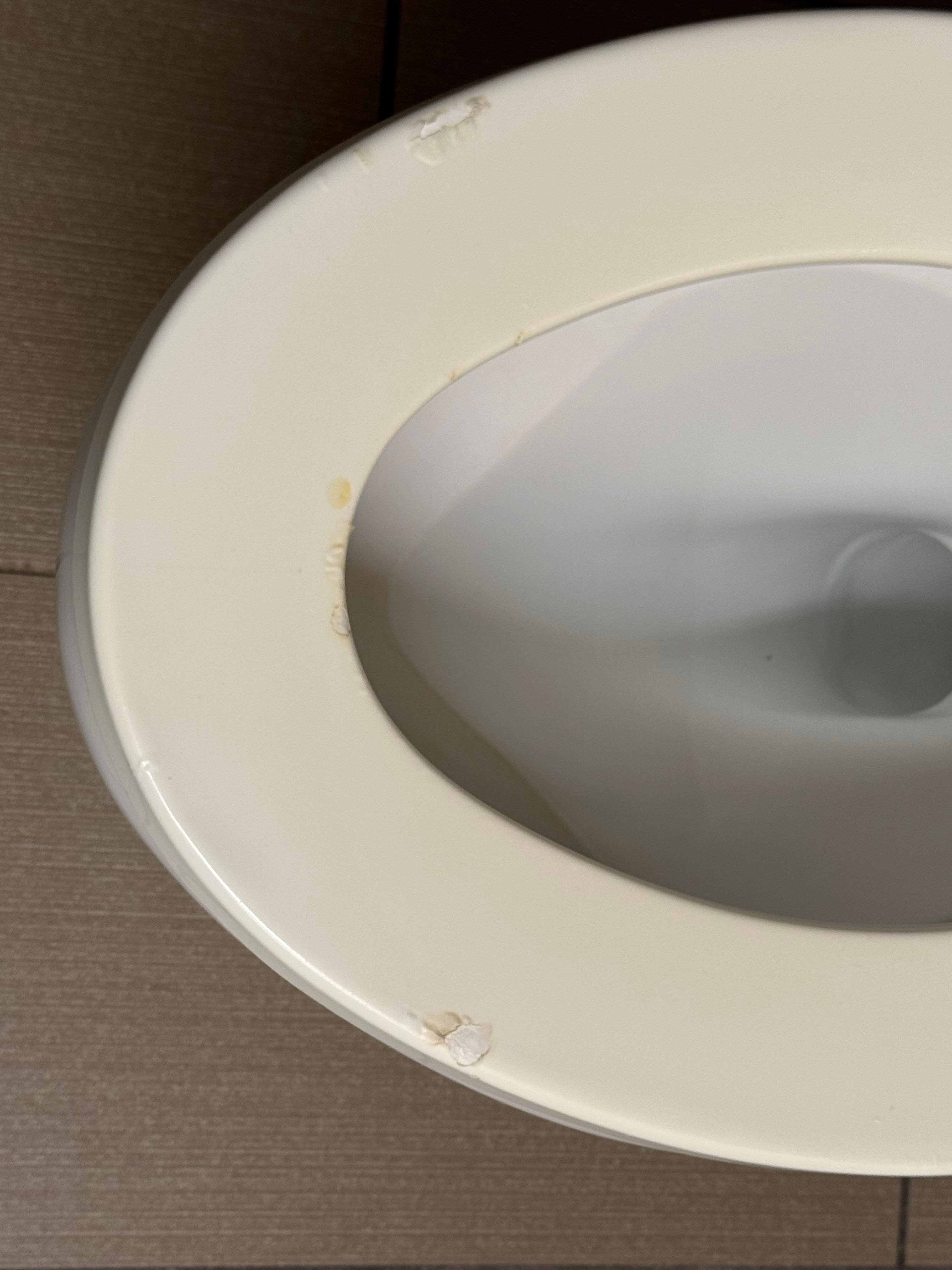 Burn marks on the toilet seat. Could be easily replaced.