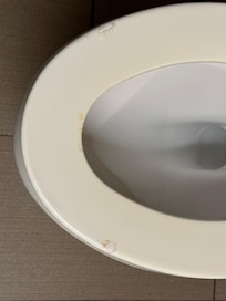 Burn marks on the toilet seat. Could be easily replaced.