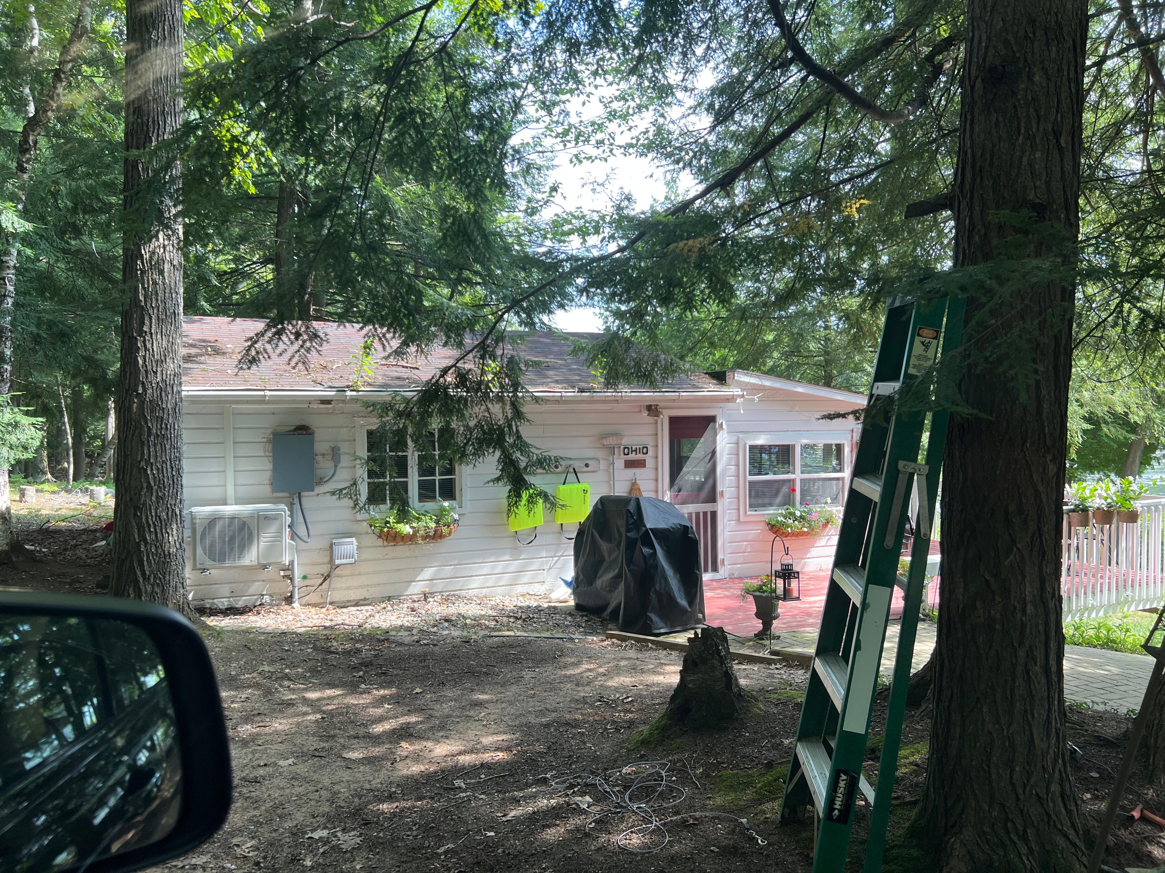 Cabin from the drive - the handy ladder in view