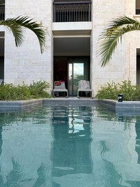 Another shot of the swim up pool