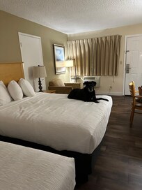 They didn’t have a king room but the double queen worked out better & was larger