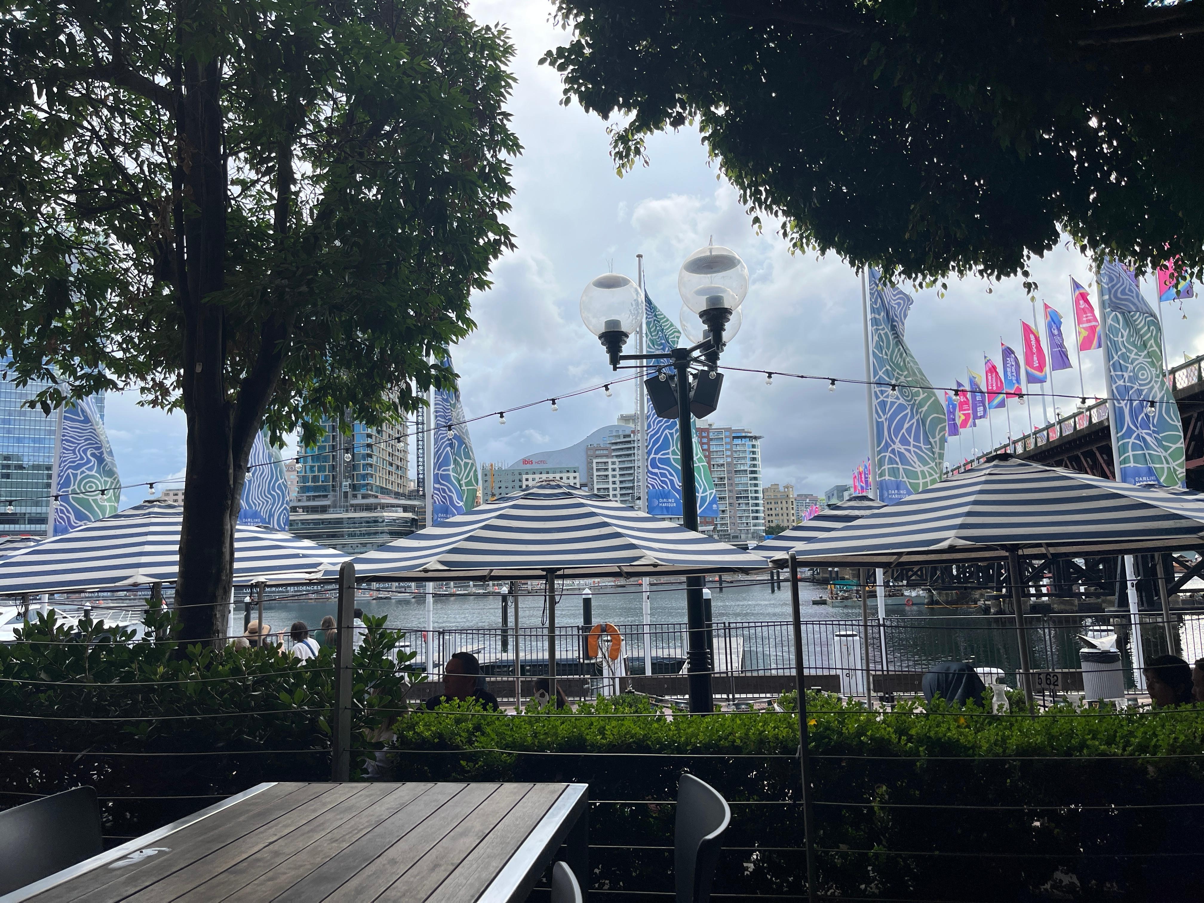 Dining on the Marina