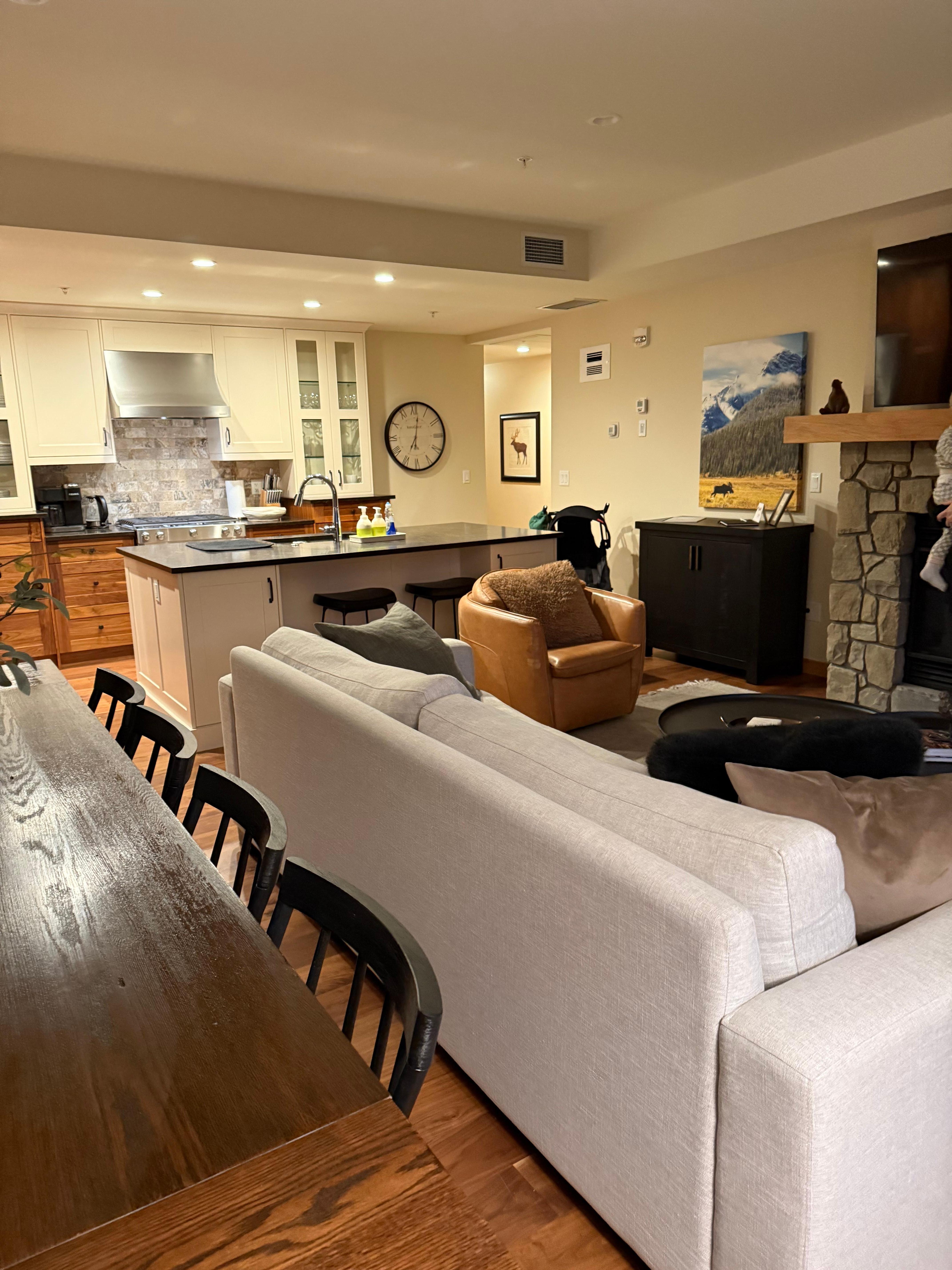 Living room/kitchen. Very well appointed.