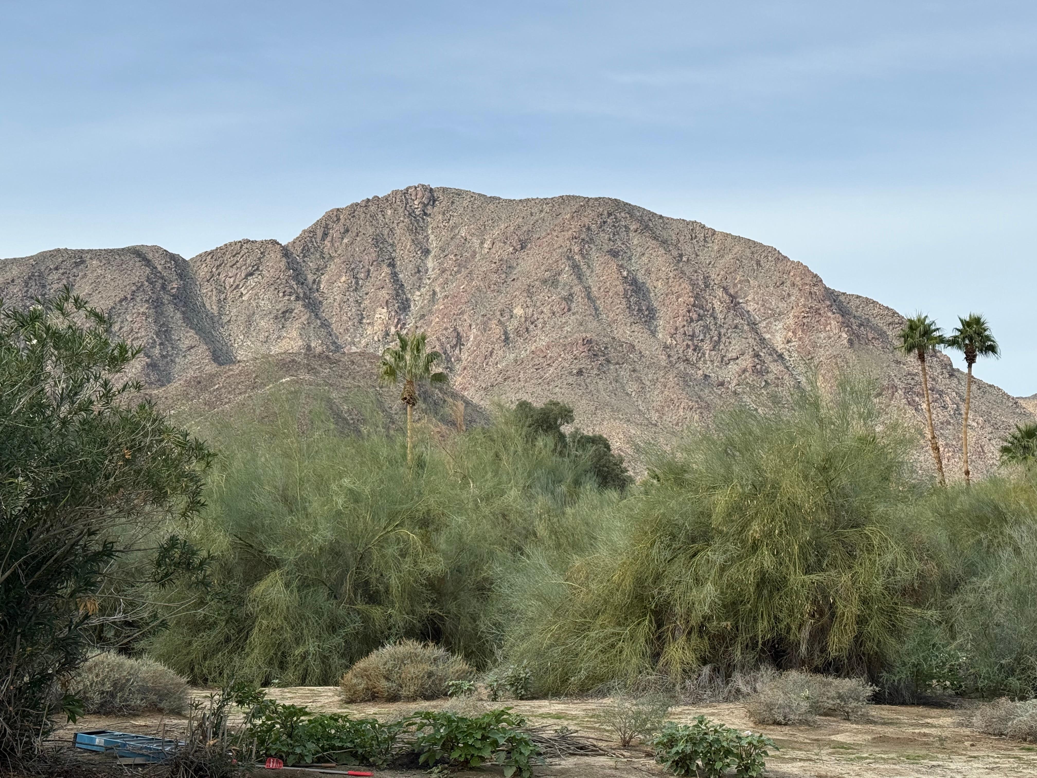 View from the front of the house. 