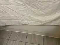 Moldy shower curtains