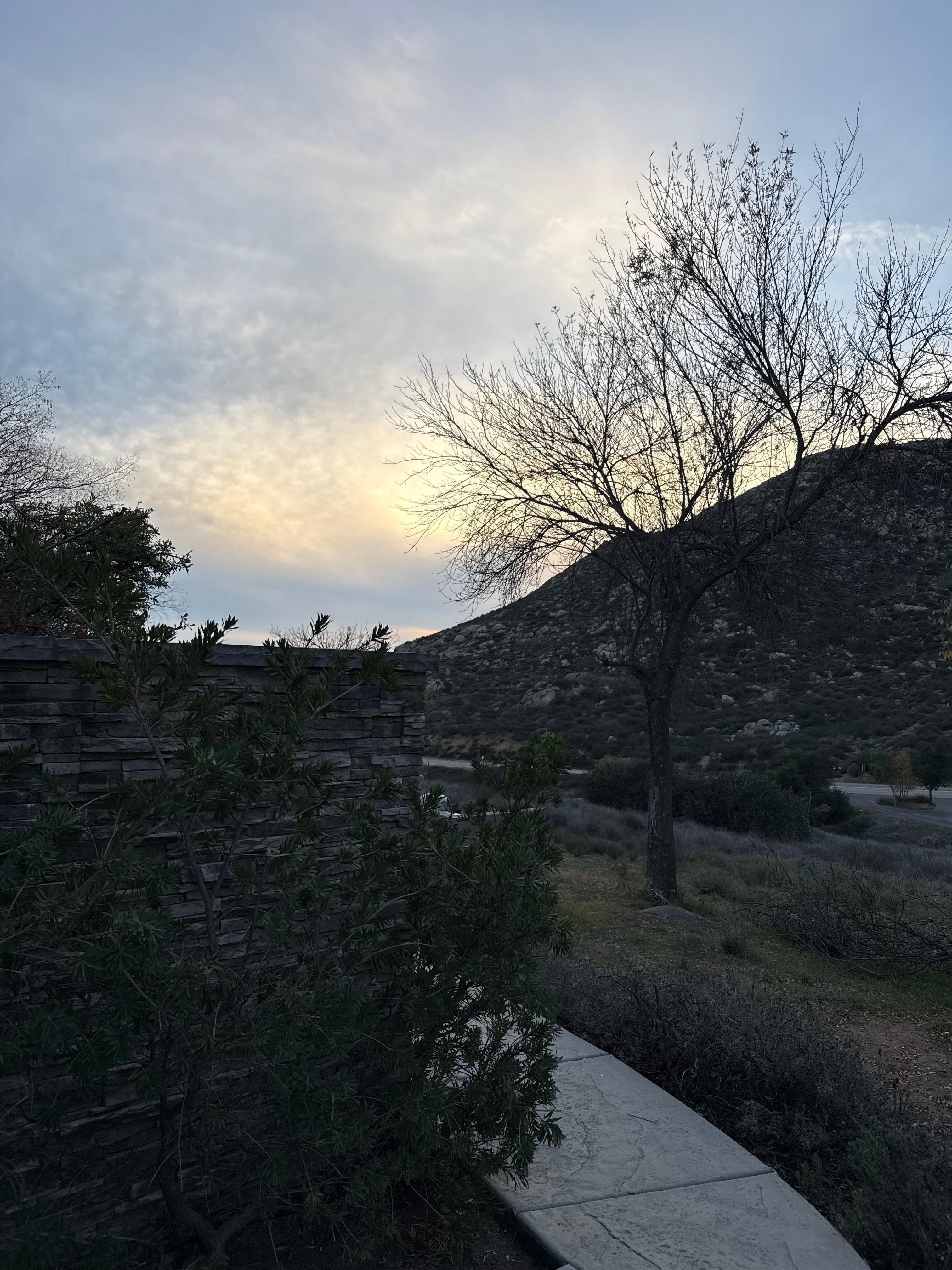 View from the front door