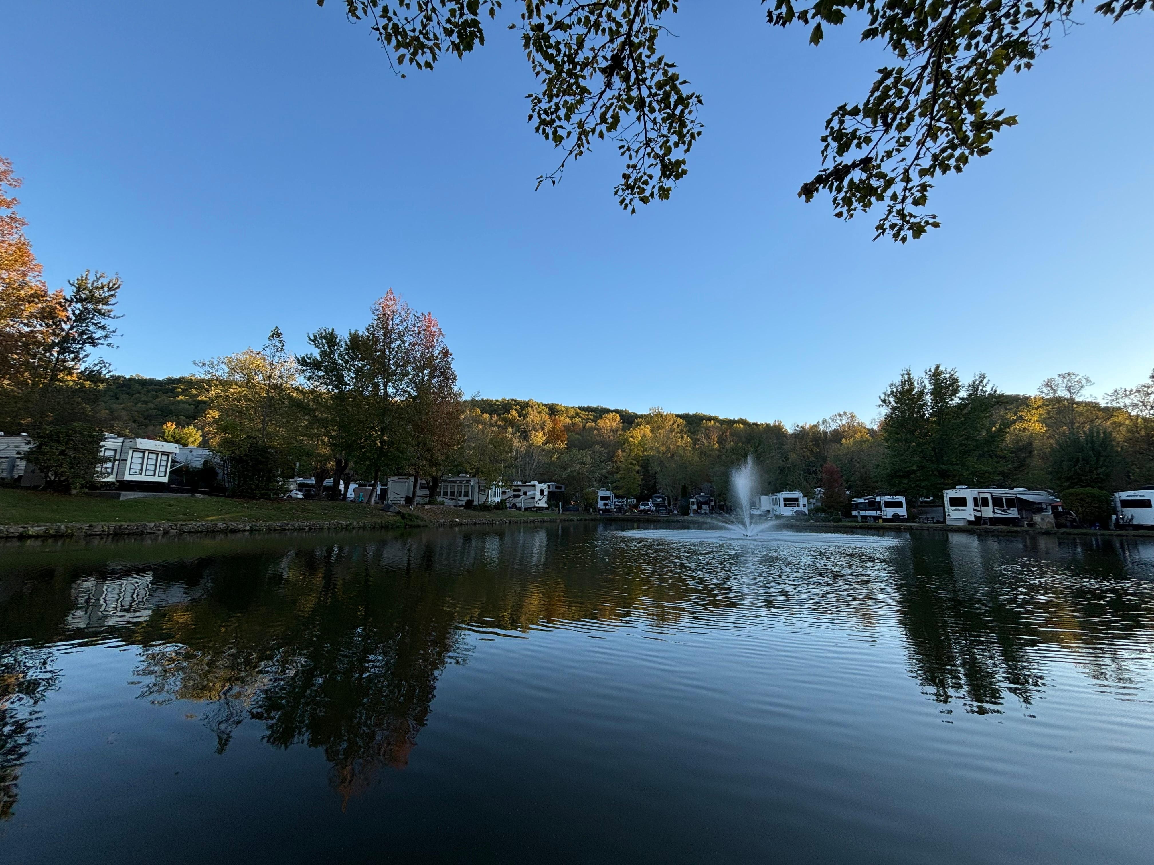 View from fishing at the pond!