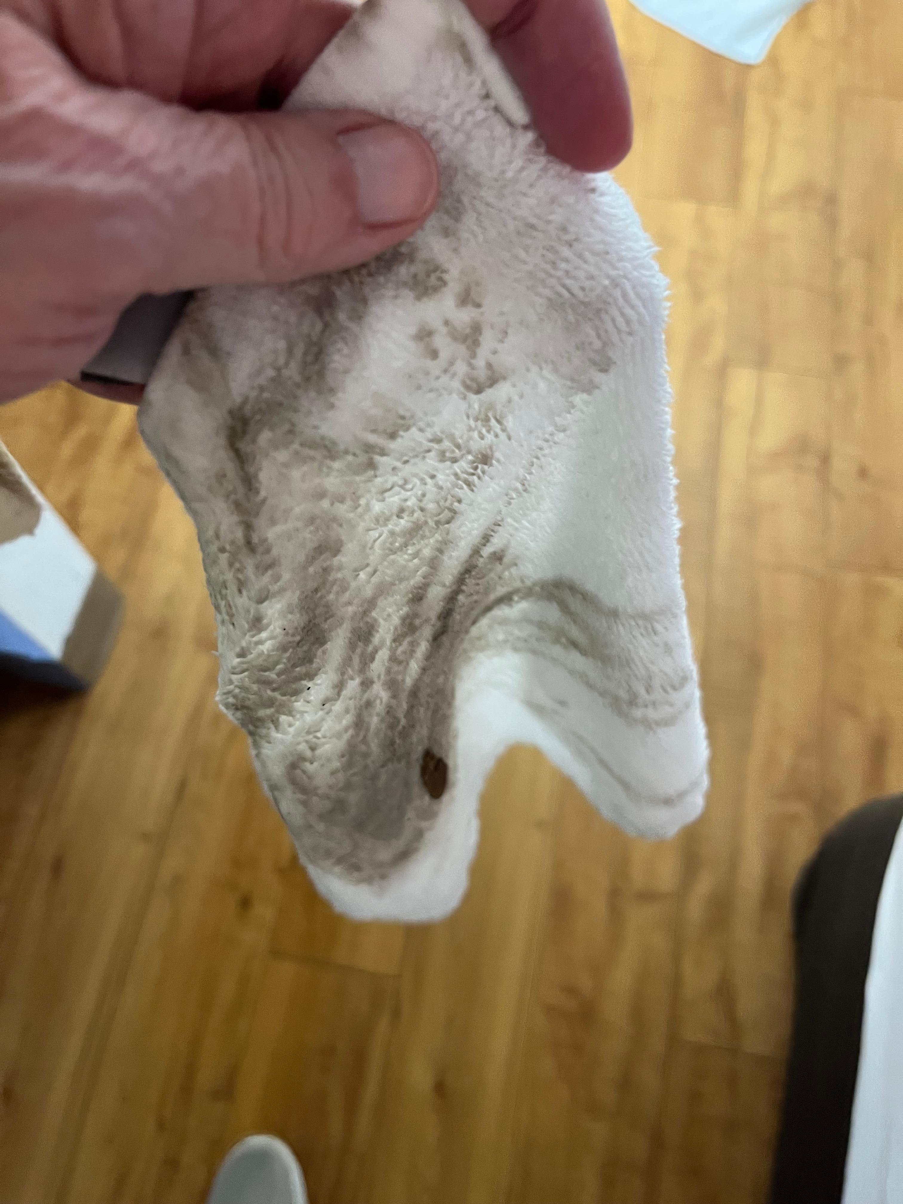 1 (ONE) wipe off the floor!!