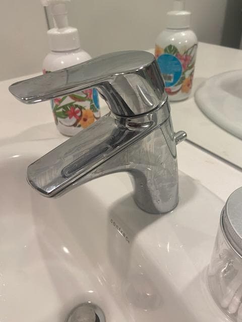 Dirty faucets. All of the faucets, sinks, toilets, and counters were in this condition.