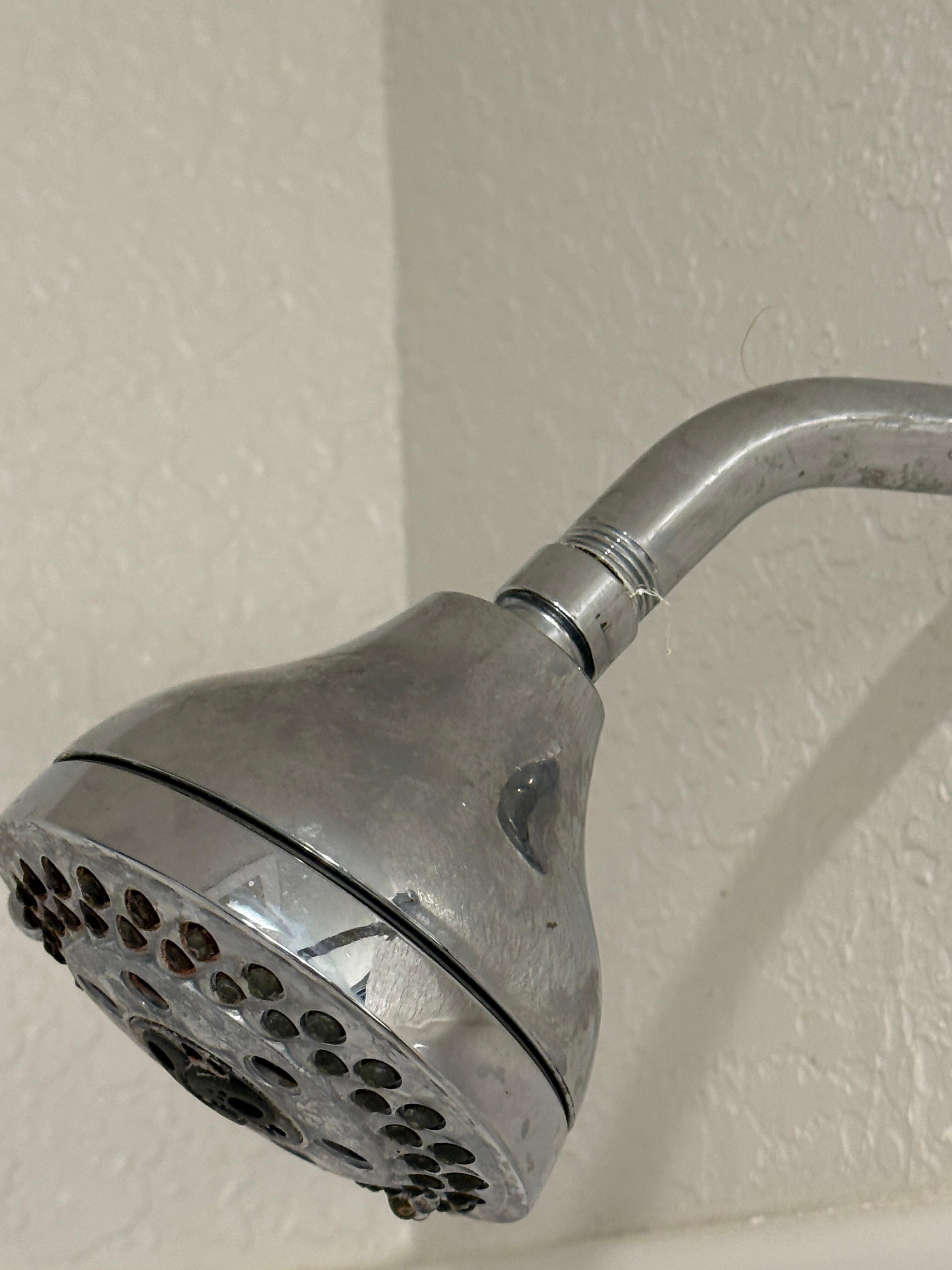 Filthy shower head