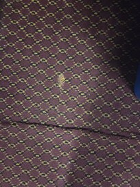 Strange brown powder on carpet