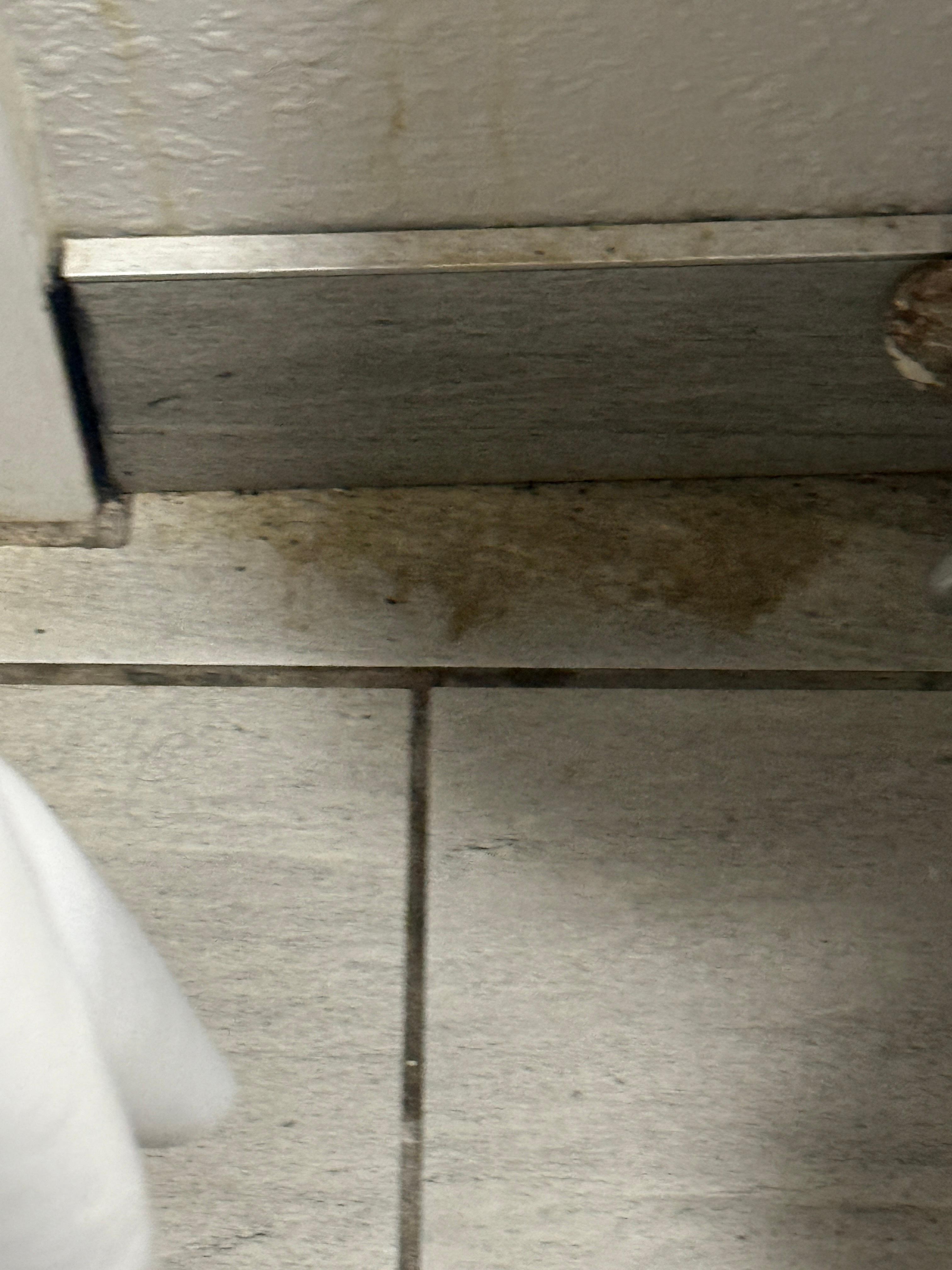 Something nasty in the bathroom. 