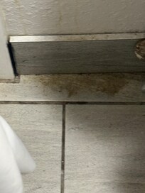 Something nasty in the bathroom.