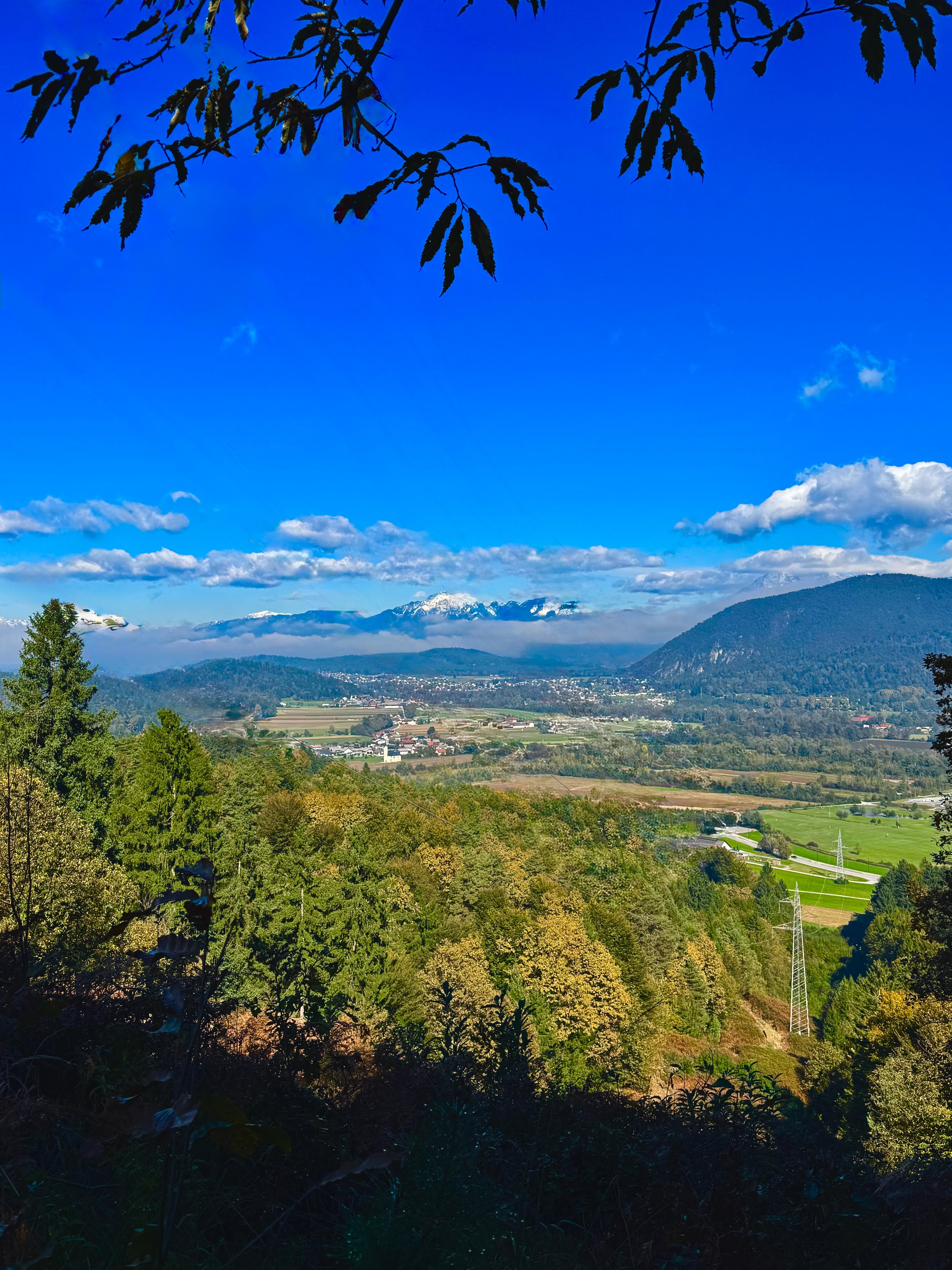 View from the top of the forest walk behind the Hotel Nox